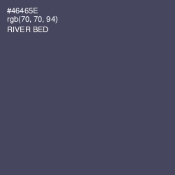 #46465E - River Bed Color Image